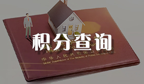 积分查询